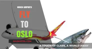 Discover Direct Flights to Oslo: Top Global Airports Guide