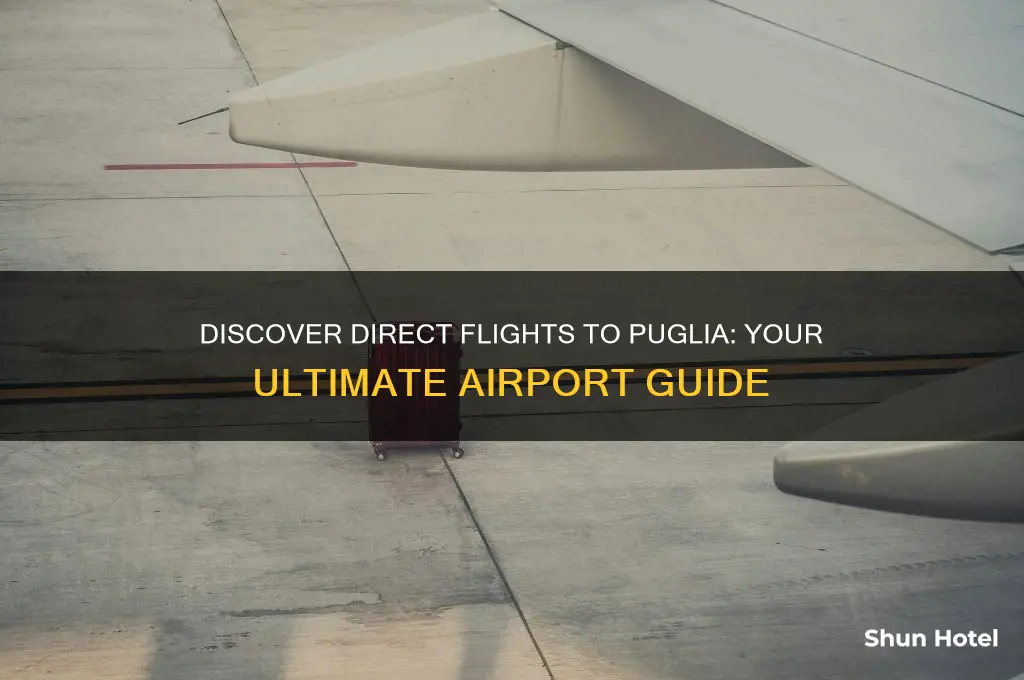 which airports fly to puglia
