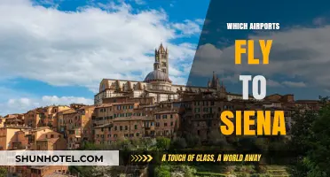 Discover Siena: Airports Offering Direct Flights to Tuscany's Gem