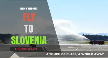 Discover Slovenia: Top Airports Offering Direct Flights to Ljubljana