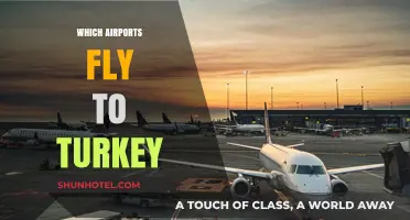 Discover Top Global Airports Offering Direct Flights to Turkey
