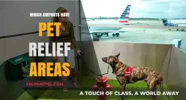 Pet Relief Areas: Airports Offering This Facility