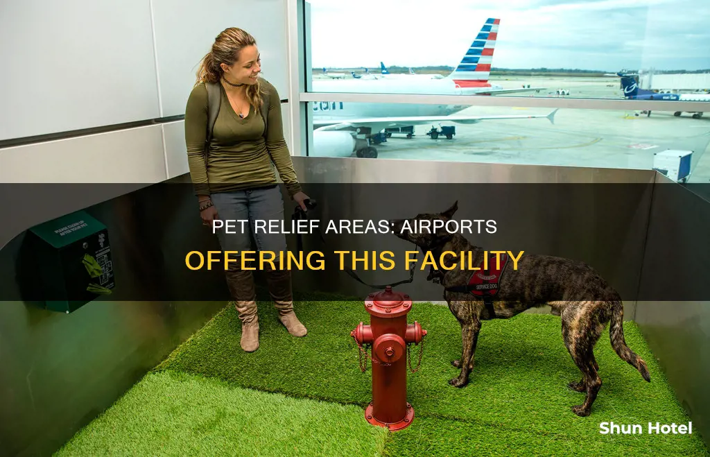 which airports have pet relief areas