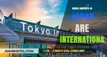 Discover Japan's Global Gateways: International Airports Across the Country