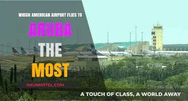 Top US Airport with Most Frequent Flights to Aruba Revealed