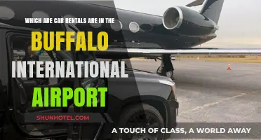 Buffalo International Airport Car Rentals: Your Guide to Available Options