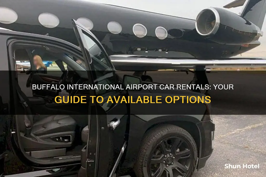 which are car rentals are in the buffalo international airport