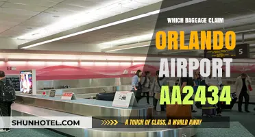 Orlando Airport Baggage Claim: AA2434 Essentials