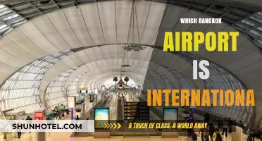 Bangkok's International Airport Guide: Suvarnabhumi vs. Don Mueang