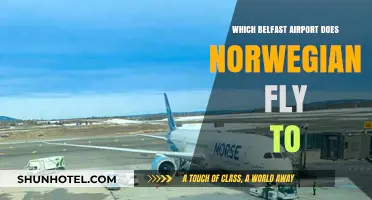 Norwegian Airlines' Belfast Destination: Which Airport Does It Serve?