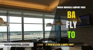 BA's Brussels Airport: Which Hub Does British Airways Serve?