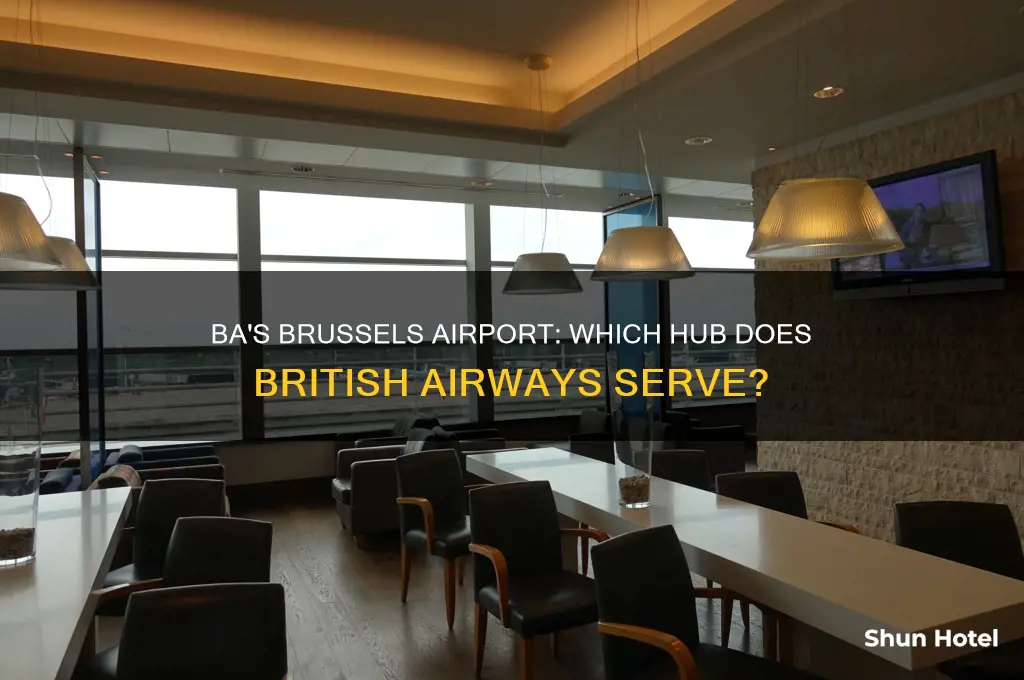 which brussels airport does ba fly to