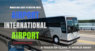 Boston Airport Bus Routes: Your Guide to International Terminals