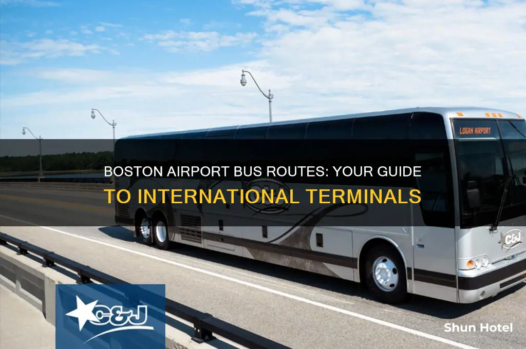 which bus goes to boston until airport international airport