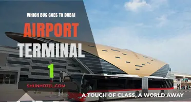 Direct Route to Dubai Airport Terminal 1: Your Ultimate Bus Guide