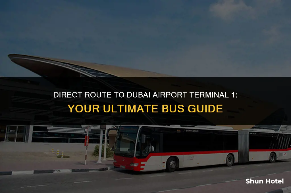 which bus goes to dubai airport terminal 1