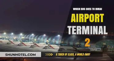 Direct Route to Dubai Airport Terminal 2: Your Bus Guide