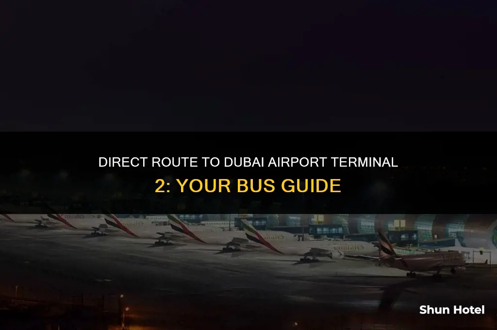 which bus goes to dubai airport terminal 2