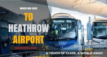 London Buses to Heathrow: Routes and Tips
