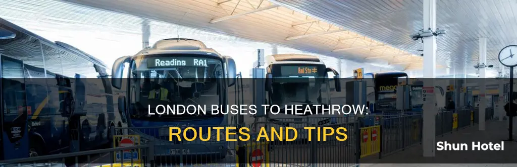 which bus goes to heathrow airport
