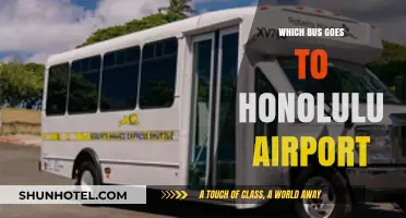 Honolulu Airport: Which Bus to Take?