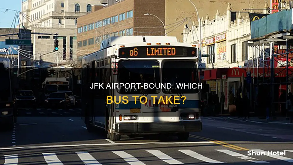 which bus goes to jfk airport