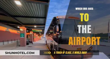 Best Bus Routes to the Airport