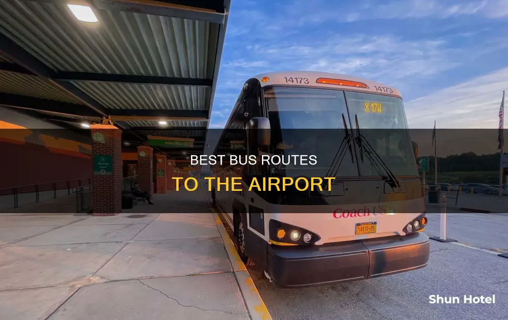 which bus goes to the airport