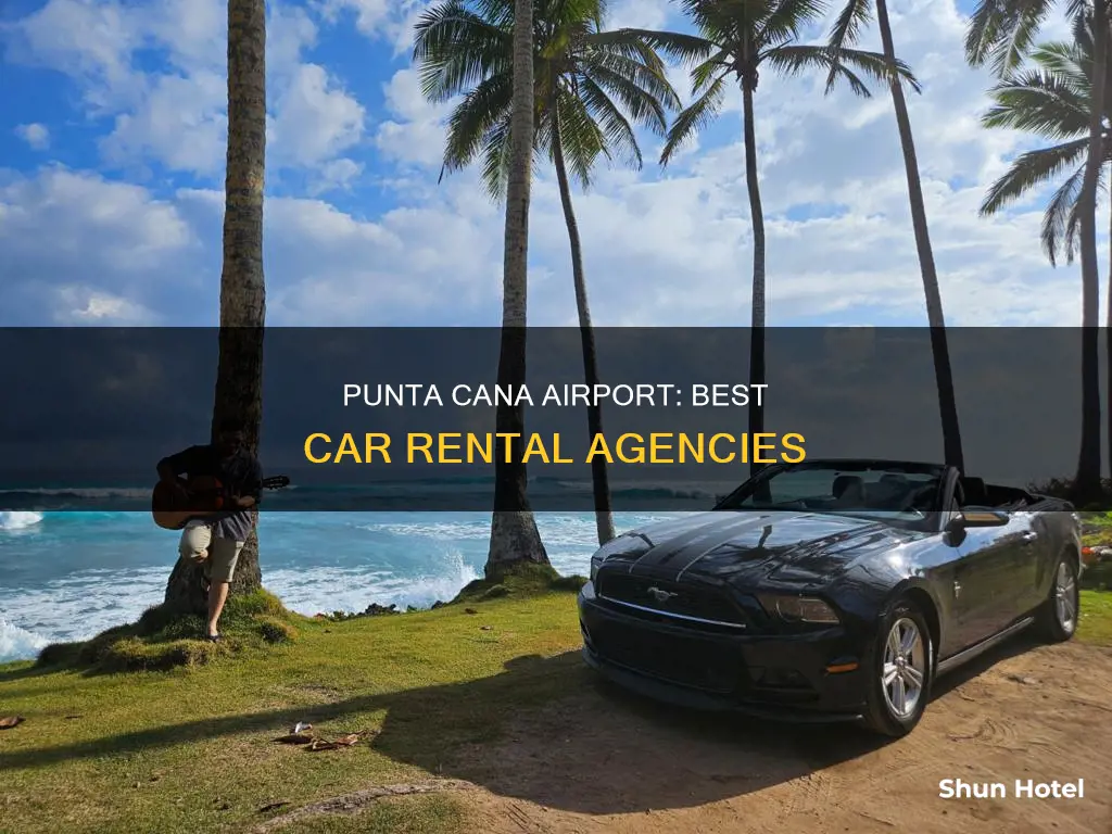 which car rental agency in punta cana airport is best