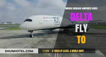 Delta's Chicago Destinations: Which Airports Does Delta Fly To?
