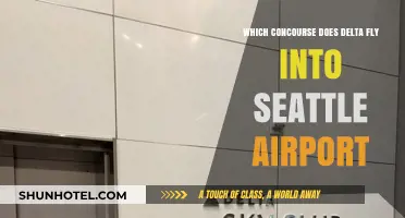 Delta's Concourse at Seattle Airport: A Quick Guide for Travelers