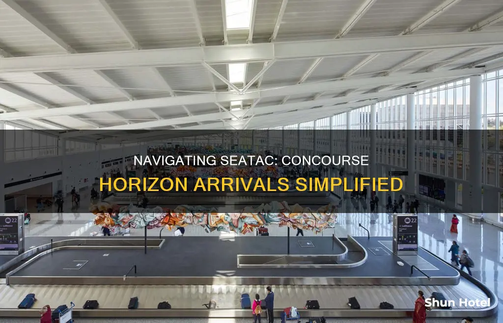 which concourse horizon arrivals seatac airport