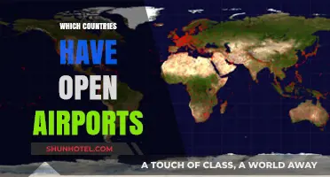 Global Travel Update: Countries with Open Airports for International Flights