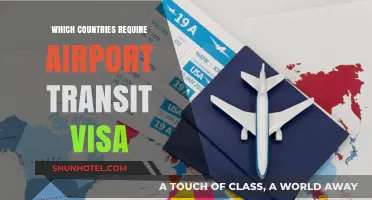 Transit Visas: Which Countries Need Them?