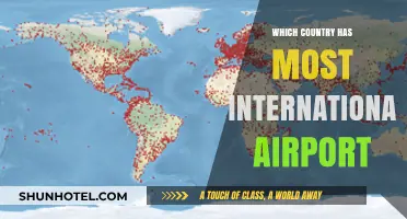 Global Hub Showdown: Which Country Leads in International Airports?