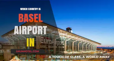 Basel Airport: Which Country Does It Belong To?