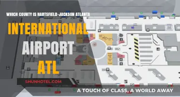 Hartsfield-Jackson Atlanta International Airport (ATL): Which County is it In?