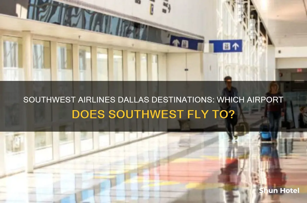 which dallas airport does southwest fly to