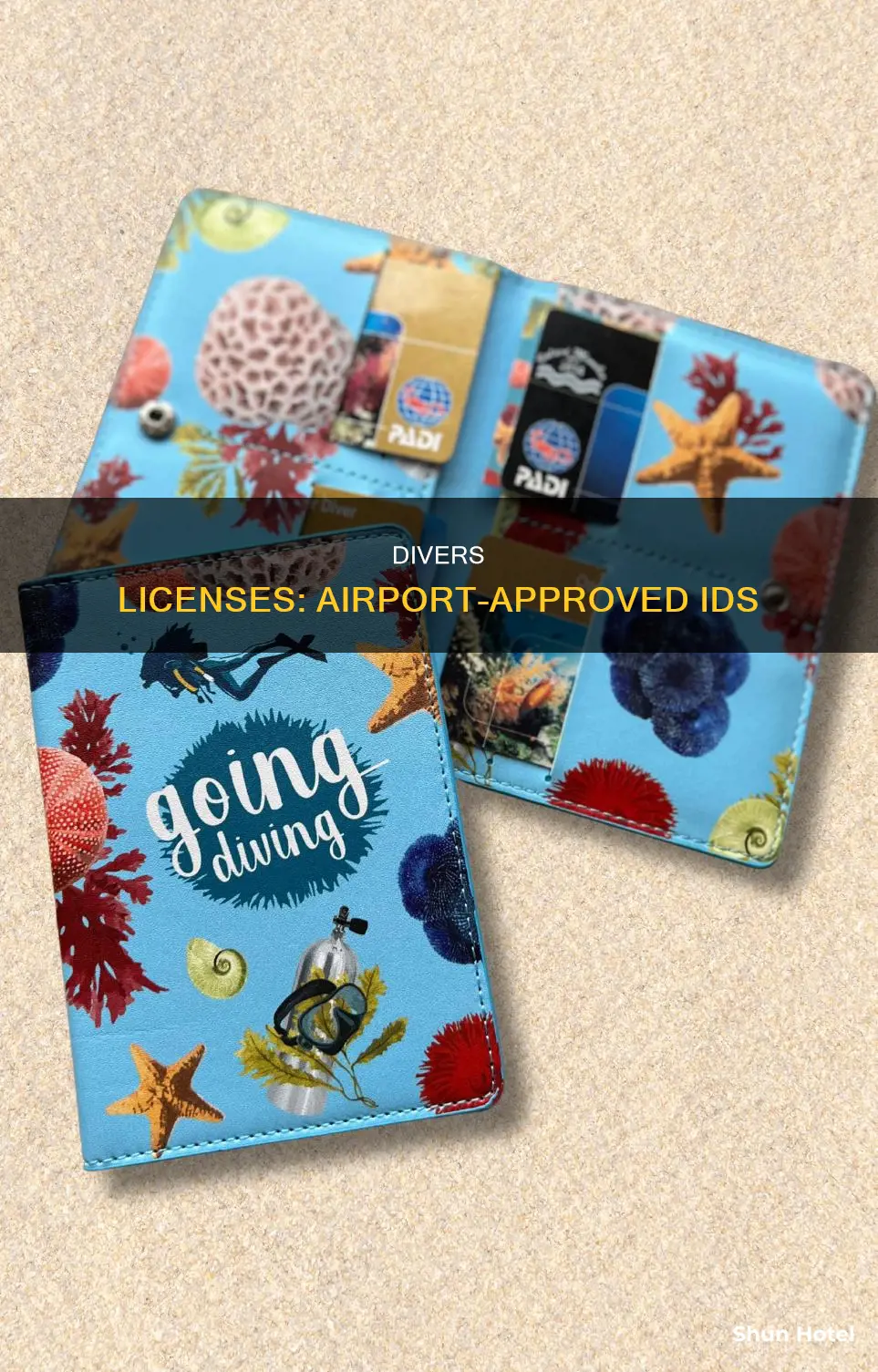 which divers license can i use at the airport