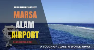 Exploring Marsa Alam: Airport and Elphinstone Reef