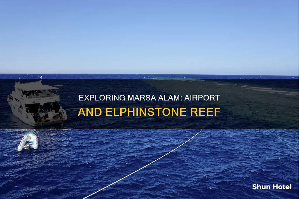 which elphinstone reef marsa alam airport