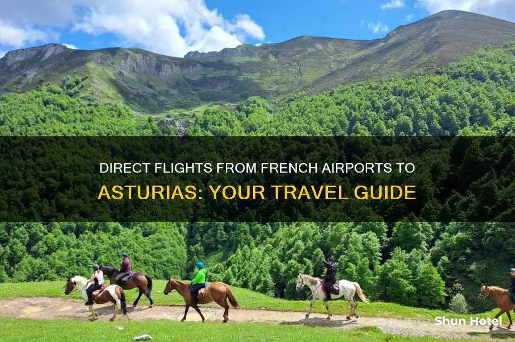which french airports fly direct to asturias airport