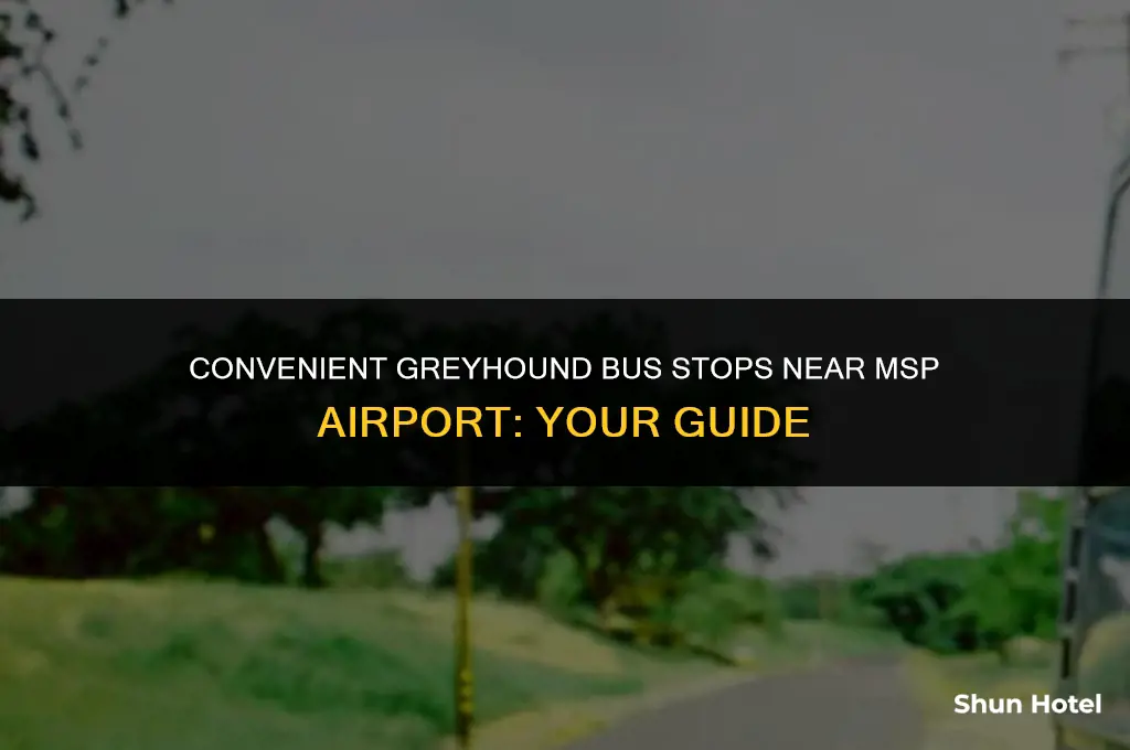 which greyhound bus stop is closest to msp airport