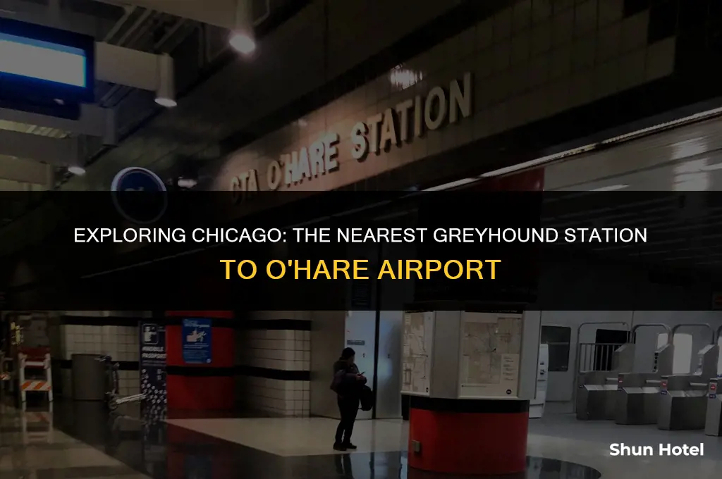 which greyhound station is closest to o