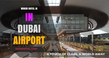 Dubai Airport's Best Hotels: Where to Stay and Why