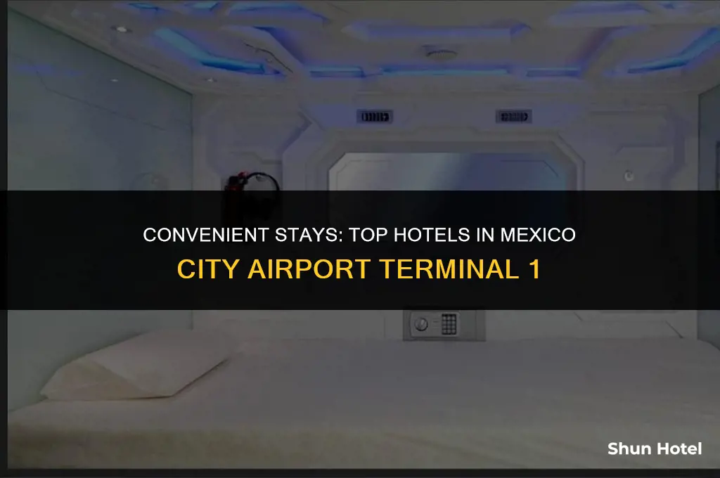 which hotel is in terminal 1 mexico city airport