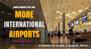 Exploring India's Global Gateways: Which State Leads in International Airports?