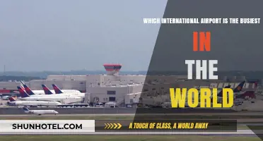 Global Air Travel Hub: The World's Busiest International Airport Revealed