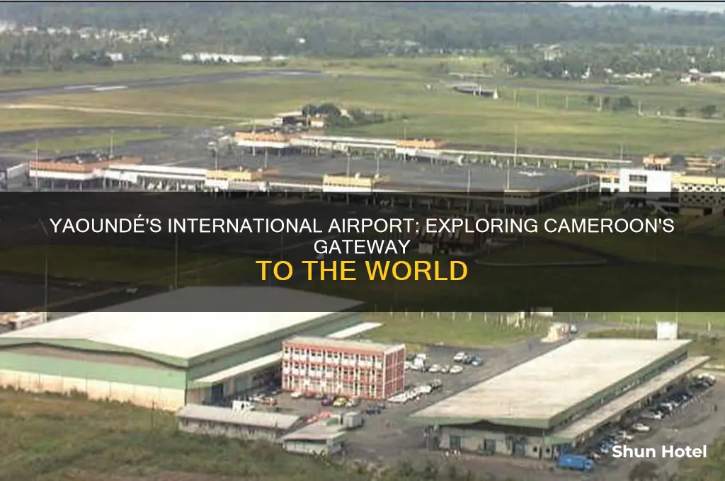 which international airport services yaounde cameroon