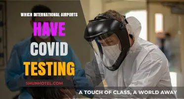 Traveling Safely: International Airports Offering COVID-19 Testing Services